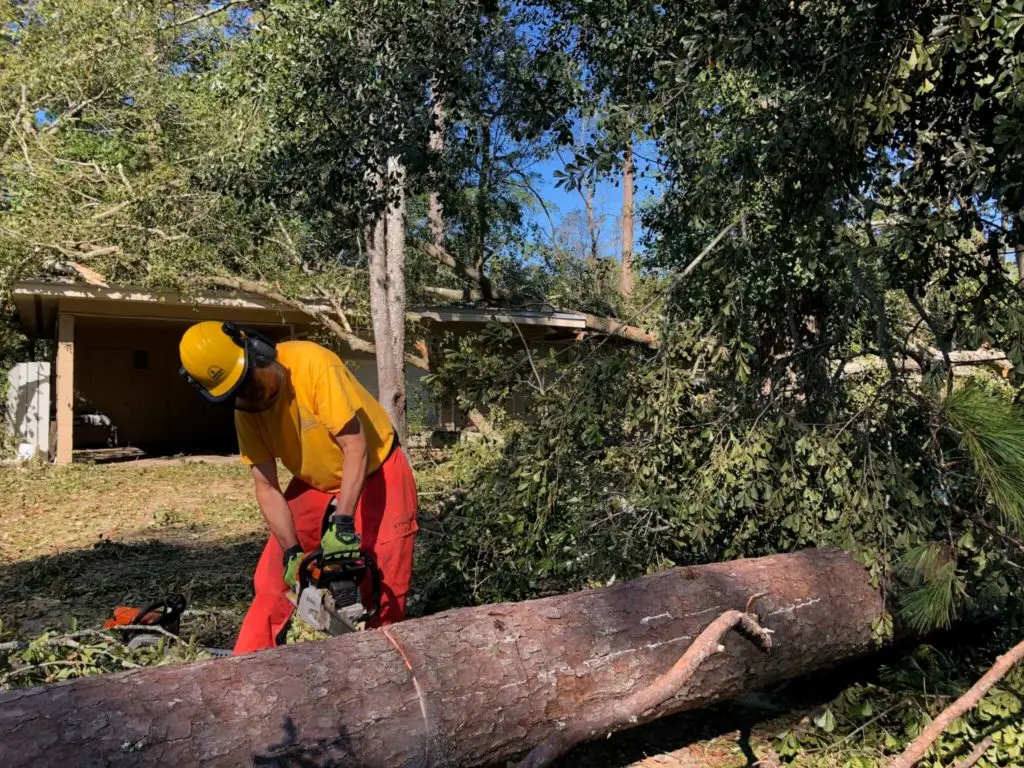 Florida Panhandle Hit Hard, Southeast Alabama Receives Significant Damage from Hurricane Michael 1