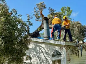 Alabama Baptist Disaster Relief volunteers work to remove a tree from a house in Huffman, Texas.