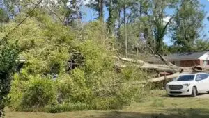 Tree fallen on property in Augusta, GA after Hurricane Helene