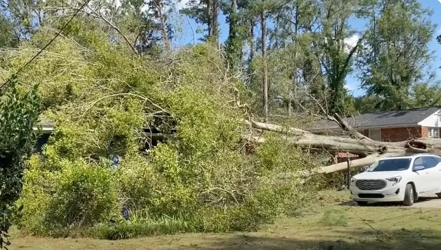 Tree fallen on property in Augusta, GA after Hurricane Helene