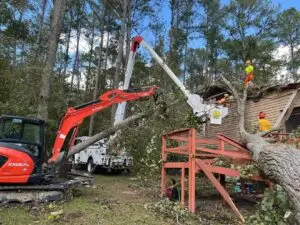 Alabama Baptist Disaster Relief teams helping cut and remove fallen trees in the Clearwater, South Carolina, area in the wake of Hurricane Helene.