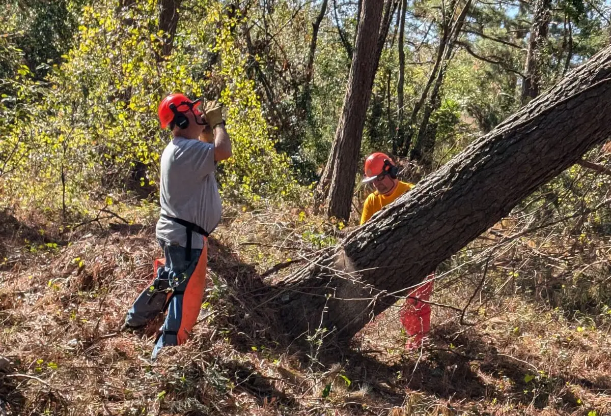 Volunteers from Madison Baptist Association cutting up a fallen tree for a homeowner