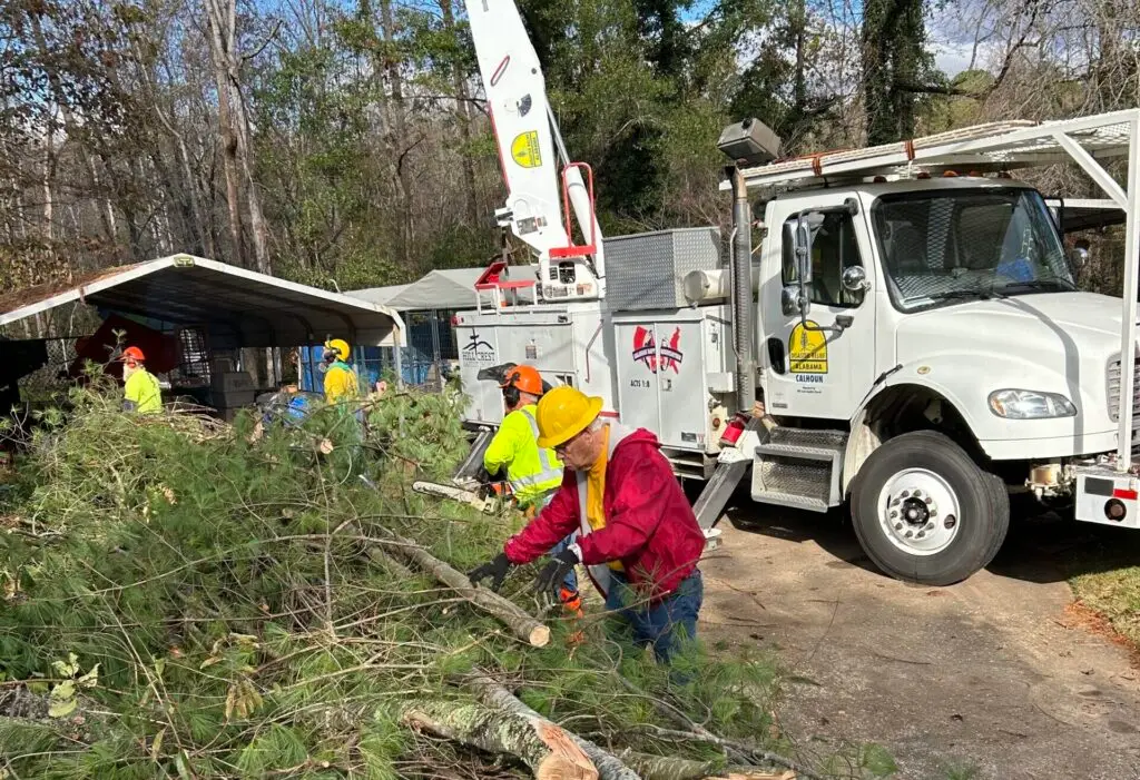 A team from Calhoun Baptist Association works to clear trees for a homeowner in western North Carolina.